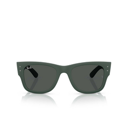 Occhiali da sole Ray-Ban RB4840S 665787 sand green