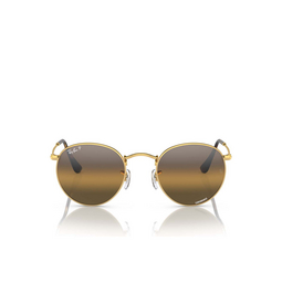 Ray-Ban ROUND METAL Sunglasses 001/G5 gold