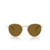 Occhiali da sole Ray-Ban ROUND REVERSE 001/83 arista - anteprima prodotto 1/4