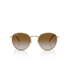 Occhiali da sole Ray-Ban ROUND REVERSE 001/CB arista - anteprima prodotto 1/4