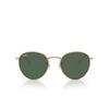 Lunettes de soleil Ray-Ban ROUND REVERSE 001/VR arista - Vignette du produit 1/4