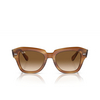 Ray-Ban STATE STREET Sunglasses 140351 striped brown - product thumbnail 1/4