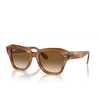Ray-Ban STATE STREET Sunglasses 140351 striped brown - product thumbnail 2/4
