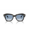 Lunettes de soleil Ray-Ban STATE STREET 14043F striped grey - Vignette du produit 1/4