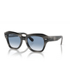 Ray-Ban STATE STREET Sunglasses 14043F striped grey - product thumbnail 2/4