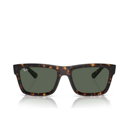 Ray-Ban WARREN Sonnenbrillen 135971 havana