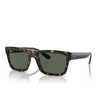 Ray-Ban WARREN Sunglasses 135971 havana - product thumbnail 2/4