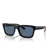 Occhiali da sole Ray-Ban WARREN 667780 black - anteprima prodotto 2/4