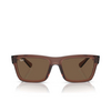 Gafas de sol Ray-Ban WARREN 667873 transparent brown - Miniatura del producto 1/4