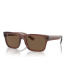 Lunettes de soleil Ray-Ban WARREN 667873 transparent brown - Vignette du produit 2/4