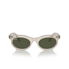 Lunettes de soleil Ray-Ban WAYFARER OVAL 138331 photo waves grey - Vignette du produit 1/4