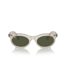 Occhiali da sole Ray-Ban WAYFARER OVAL 138331 photo waves grey