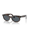 Lunettes de soleil Ray-Ban WAYFARER OVAL 902/R5 havana - Vignette du produit 2/4