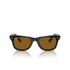 Ray-Ban WAYFARER Sunglasses 129433 black on transparent - product thumbnail 1/4