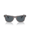 Gafas de sol Ray-Ban WAYFARER 1355R5 grey on transparent - Miniatura del producto 1/4