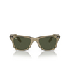 Gafas de sol Ray-Ban WAYFARER 138731 photo striped grey - Miniatura del producto 1/4