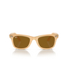 Occhiali da sole Ray-Ban WAYFARER 140833 photo striped brown - anteprima prodotto 1/4