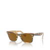 Occhiali da sole Ray-Ban WAYFARER 140833 photo striped brown - anteprima prodotto 5/6