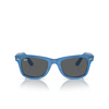 Lunettes de soleil Ray-Ban WAYFARER 1409B1 photo striped blue - Vignette du produit 1/4