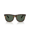 Ray-Ban WAYFARER REVERSE Sunglasses 6790VR dark havana - product thumbnail 1/4