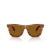 Ray-Ban WAYFARER REVERSE Sonnenbrillen 679183 striped havana - Produkt-Miniaturansicht 1/4