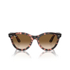 Lunettes de soleil Ray-Ban WAYFARER WAY 133451 pink havana - Vignette du produit 1/4