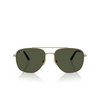 Occhiali da sole Ray-Ban WILLIAM TITANIUM 926531 arista - anteprima prodotto 1/4