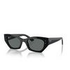 Lunettes de soleil Ray-Ban ZENA 667781 black - Vignette du produit 2/4