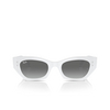 Lunettes de soleil Ray-Ban ZENA 675911 white snow - Vignette du produit 1/4