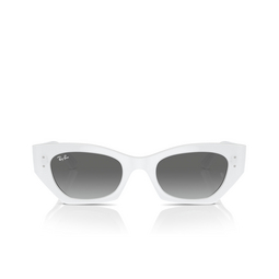 Occhiali da sole Ray-Ban ZENA 675911 white snow