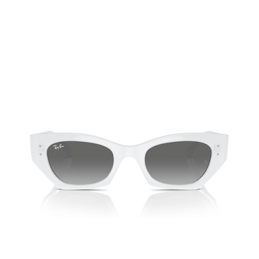 Ray-Ban ZENA Sunglasses 675911 white snow - front view