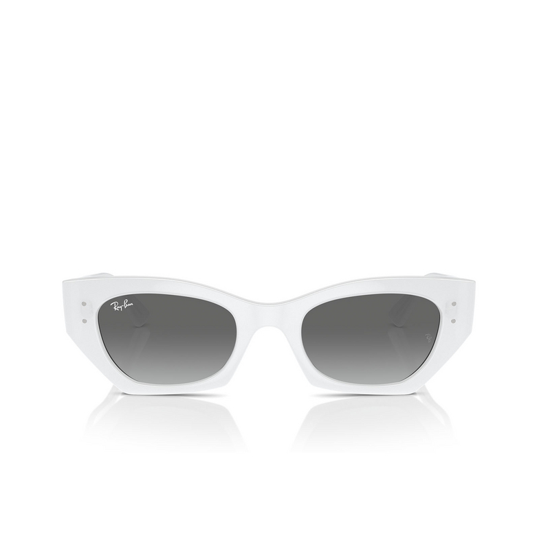 Gafas de sol Ray-Ban ZENA 675911 white snow - 1/4