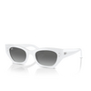 Lunettes de soleil Ray-Ban ZENA 675911 white snow - Vignette du produit 2/4