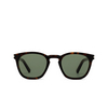 Saint Laurent SL 28 Sunglasses 049 havana - product thumbnail 1/4