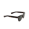 Saint Laurent SL 571 Sunglasses 007 havana - product thumbnail 2/4