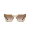 Lunettes de soleil Saint Laurent SL 641 005 brown - Vignette du produit 1/4