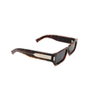 Saint Laurent SL 660 Sunglasses 002 havana - product thumbnail 2/4