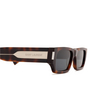 Saint Laurent SL 660 Sunglasses 002 havana - product thumbnail 3/4
