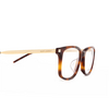 Saint Laurent SL 684/F Korrektionsbrillen 002 havana - Produkt-Miniaturansicht 3/4