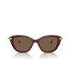 Lunettes de soleil Swarovski SK6010 105673 opal burgundy - Vignette du produit 1/4