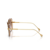 Gafas de sol Swarovski SK6011 103413 beige transparent - Miniatura del producto 3/4