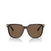 Swarovski SK6015D Sunglasses 100273 dark havana - product thumbnail 1/4