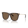 Swarovski SK6015D Sunglasses 100273 dark havana - product thumbnail 2/4