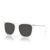 Gafas de sol Swarovski SK6015D 103387 white opal - Miniatura del producto 2/4