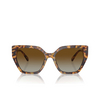 Gafas de sol Swarovski SK6016 1004T5 medium havana - Miniatura del producto 1/4