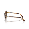 Lunettes de soleil Swarovski SK6016 1004T5 medium havana - Vignette du produit 3/4