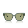 Lunettes de soleil Swarovski SK6016 104382 transparent green - Vignette du produit 1/4