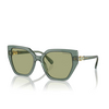 Lunettes de soleil Swarovski SK6016 104382 transparent green - Vignette du produit 2/4