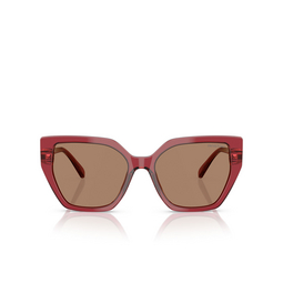 Swarovski SK6016 Sunglasses 105573 transparent burgundy