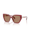 Swarovski SK6016 Sunglasses 105573 transparent burgundy - product thumbnail 2/4